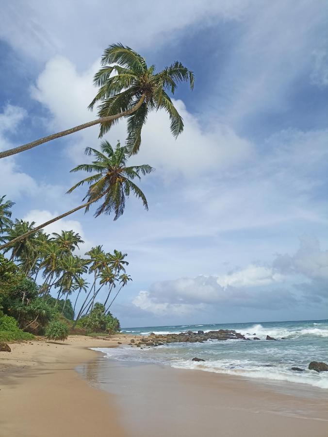 Beach House Kalukatiya - Family Villa, Seaview Room, Garden Room 迪克韦勒 外观 照片