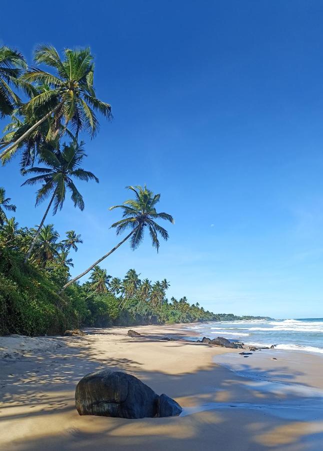 Beach House Kalukatiya - Family Villa, Seaview Room, Garden Room 迪克韦勒 外观 照片