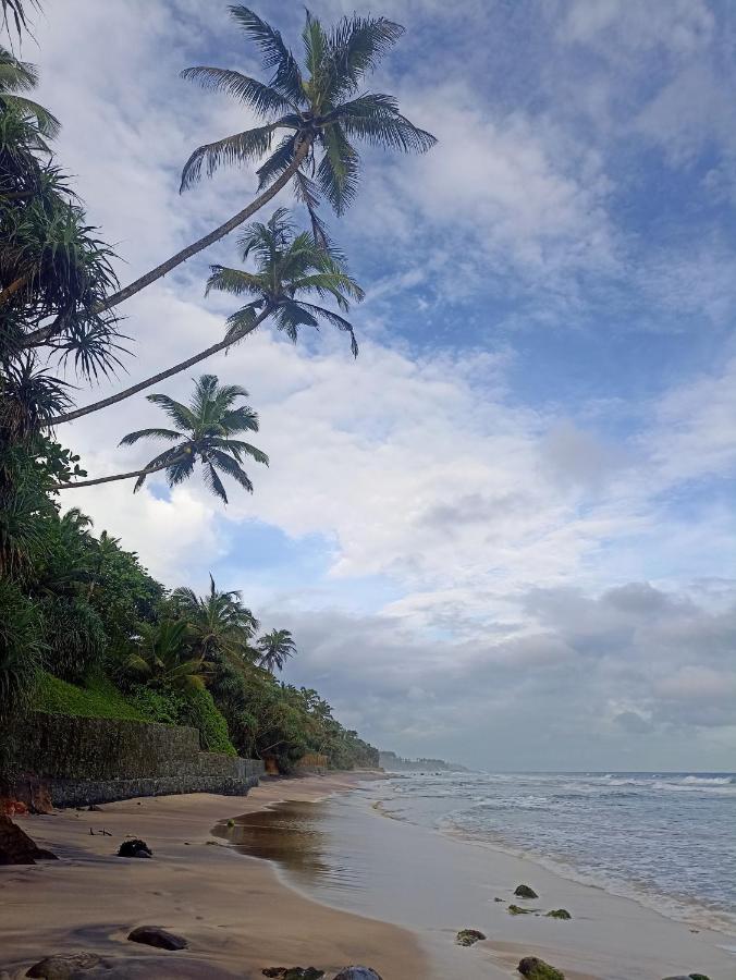 Beach House Kalukatiya - Family Villa, Seaview Room, Garden Room 迪克韦勒 外观 照片