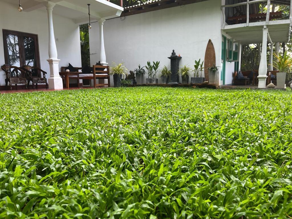 Beach House Kalukatiya - Family Villa, Seaview Room, Garden Room 迪克韦勒 外观 照片