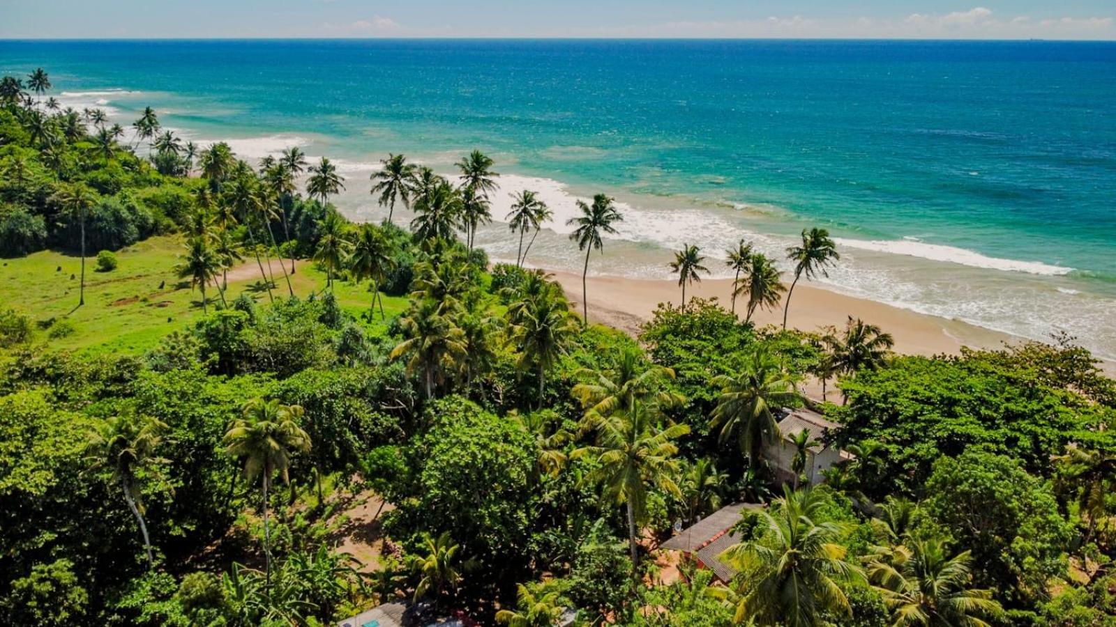 Beach House Kalukatiya - Family Villa, Seaview Room, Garden Room 迪克韦勒 外观 照片