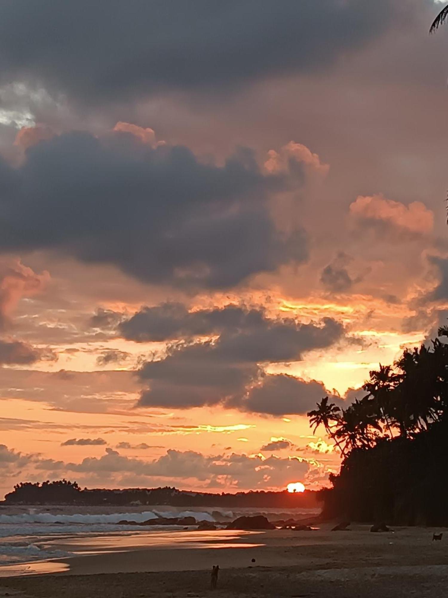 Beach House Kalukatiya - Family Villa, Seaview Room, Garden Room 迪克韦勒 外观 照片
